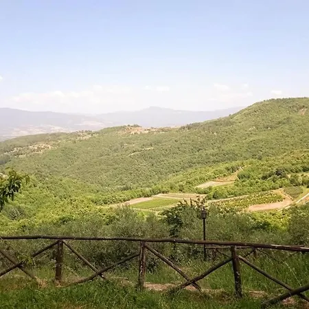 Nest In The Woods - Nido Nel Bosco Holiday home Quorle