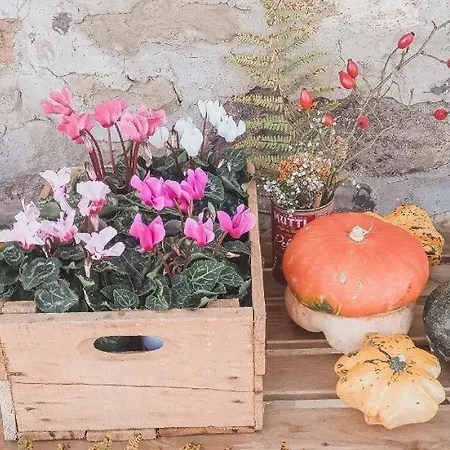 Nest In The Woods - Nido Nel Bosco Holiday home