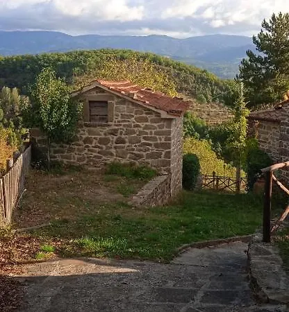 Nest In The Woods - Nido Nel Bosco *